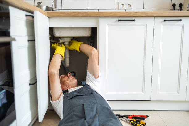 Best Clogged Drain Plumber  in Homer, GA